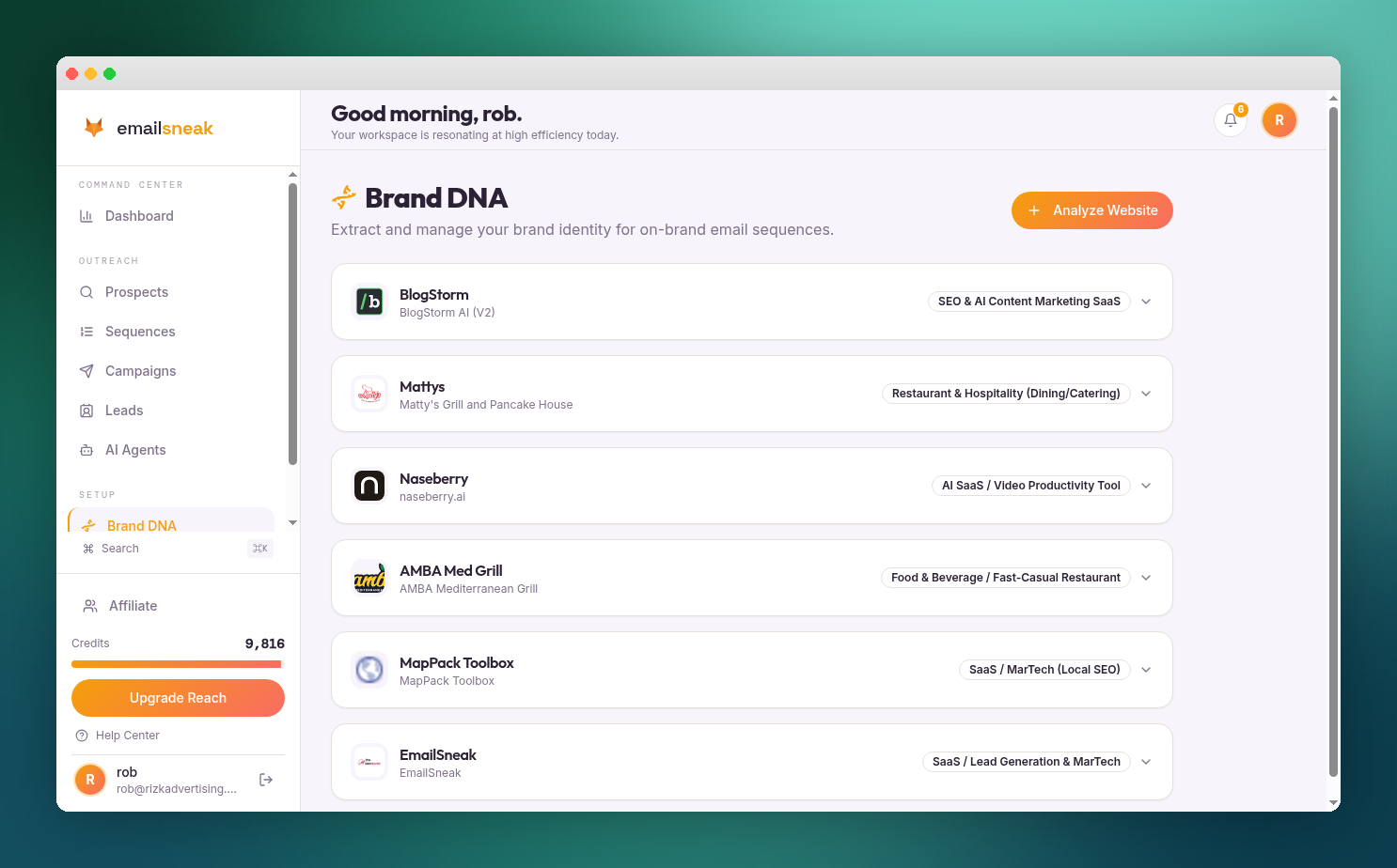 Brand DNA page listing analyzed brands with industry tags
